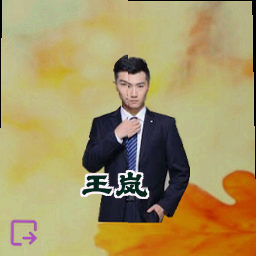 王岚
