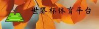 世界杯网投官网